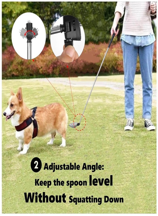 iNenya Dog Urine Sample Catcher，Telescopic Dog Pee Sample Collector，Pet Urine Stick for Small Large Female Dogs (Grayspoon&4bottles) - Image 4